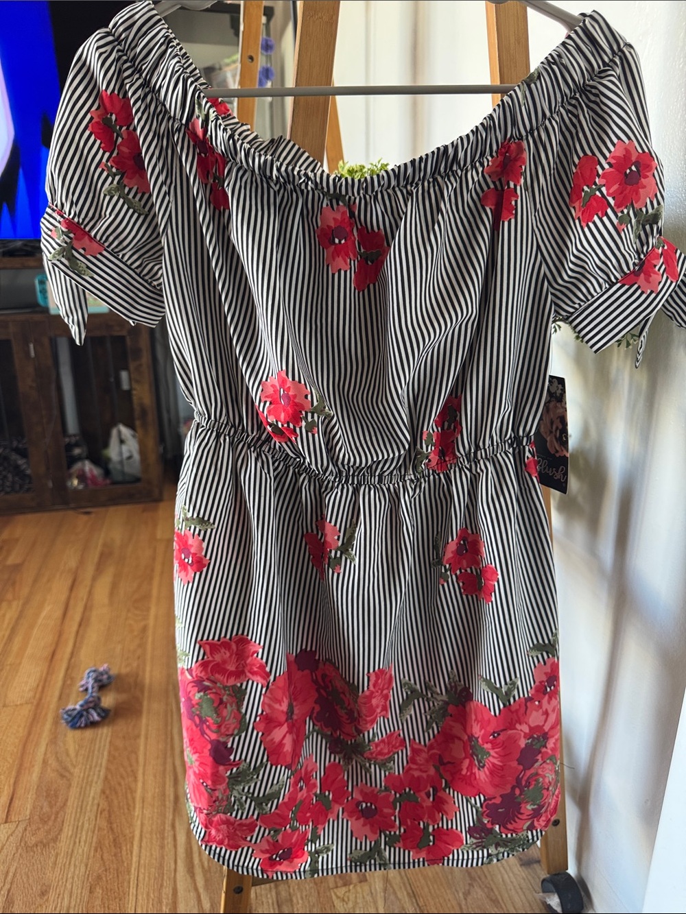 Blush Black & White Stripe Dress with Red Floral Border